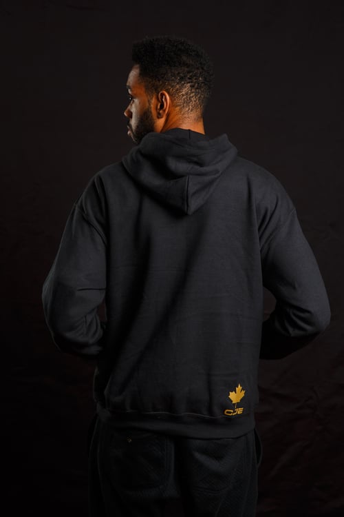 Image of Embroidered Gorilla Hoodie (Mens)