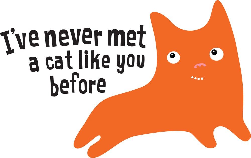 Image of Never Met A Cat Like You - Tee Shirt