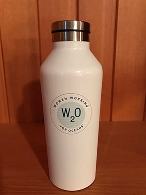 Image of Corkcicle White Water Bottle