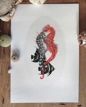 Entangled Limited  Print - Sold Out