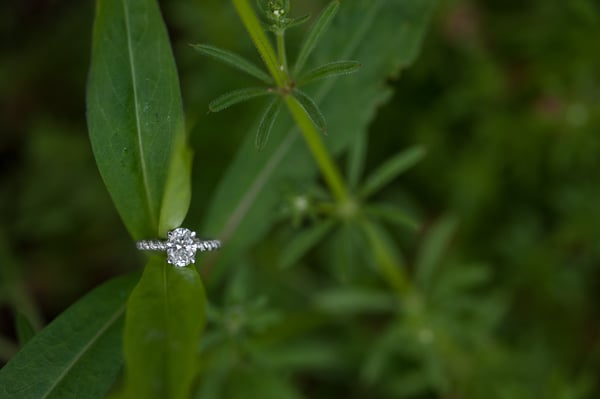 Image of HOLIDAY SPECIAL: Wedding / Engagement Albums