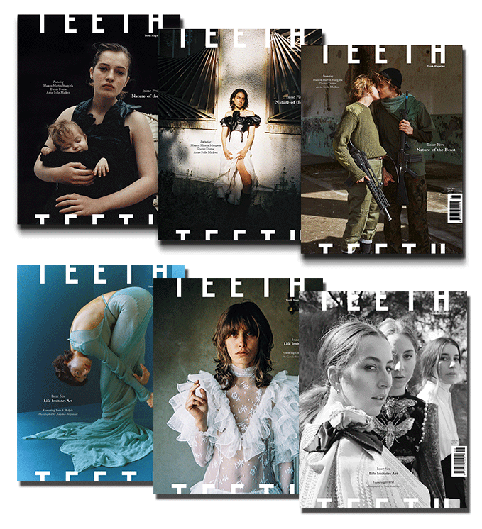 Image of 2017 Teeth Magazine Subscription Package (2 Issues)