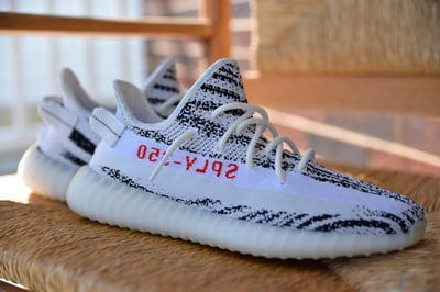 Image of Yeezy Zebra Size 11
