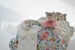 Image of Marcelle nuage Liberty