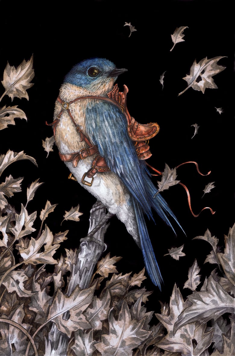 Image of 'The Saddled Bluebird' by Adam Oehlers