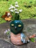 Teal Candle Owl