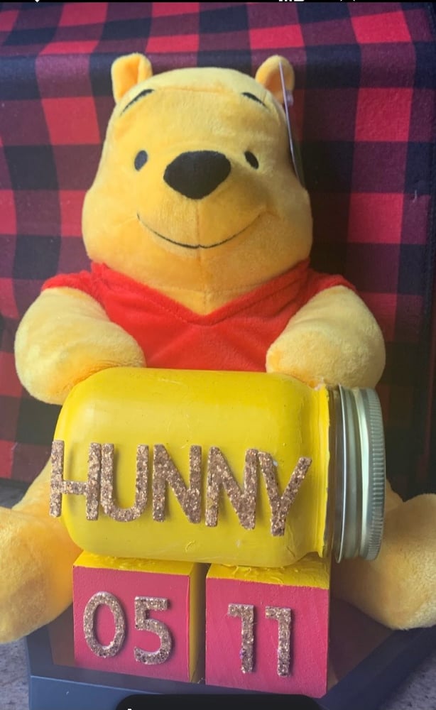 Image of Winnie The Pooh Stash Bear 