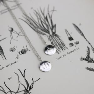 Image of 'Wilderness' silver disc necklace