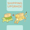 Shipping Upgrade