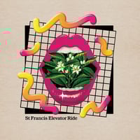 Image 2 of PERENNIAL SYNTHETICS