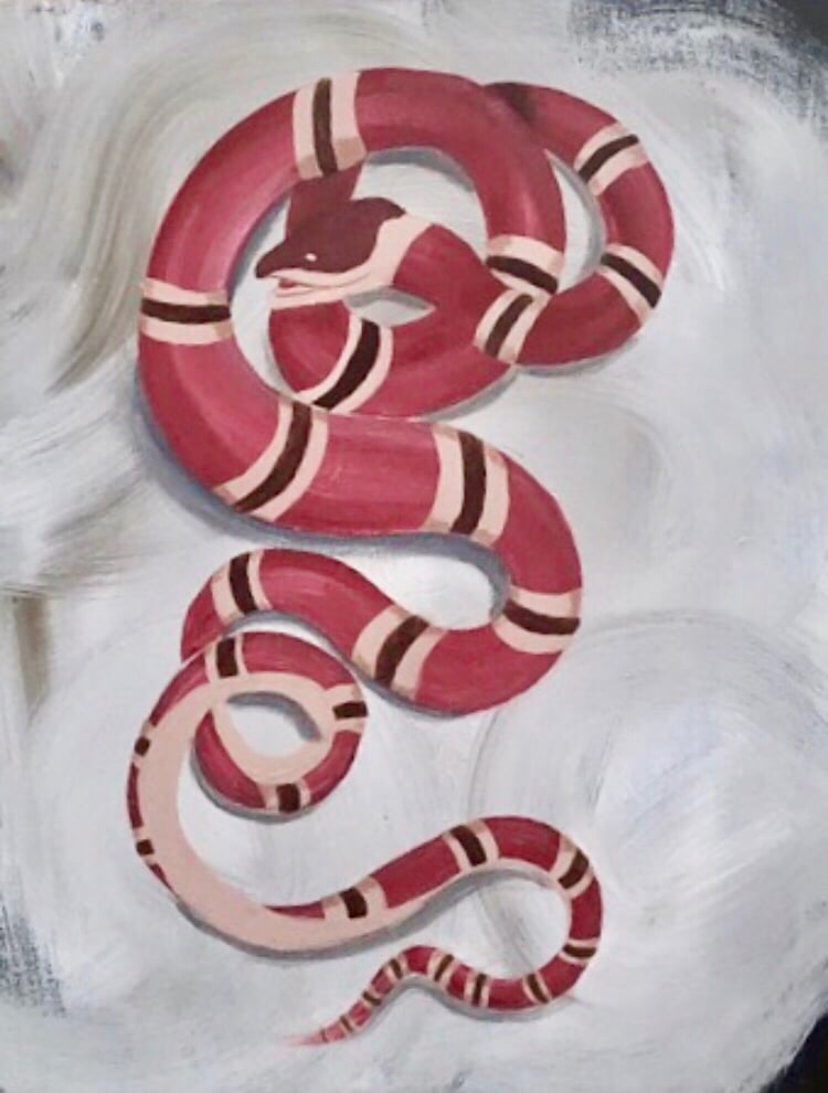 Image of Gucci snake
