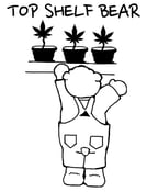 Image of TOP SHELF BEAR REACHING