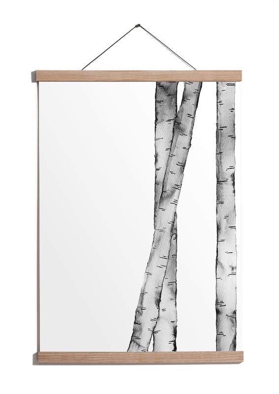 Image of Birch Black