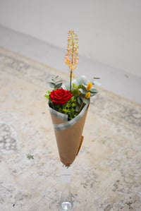 Image 1 of Rosa de Sant Jordi - La nostra preferida