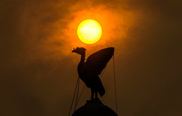 Image of Liver Bird and a Hurricane Sun