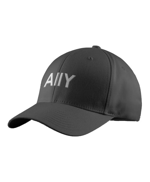 Image of Ally Society Dad Hat