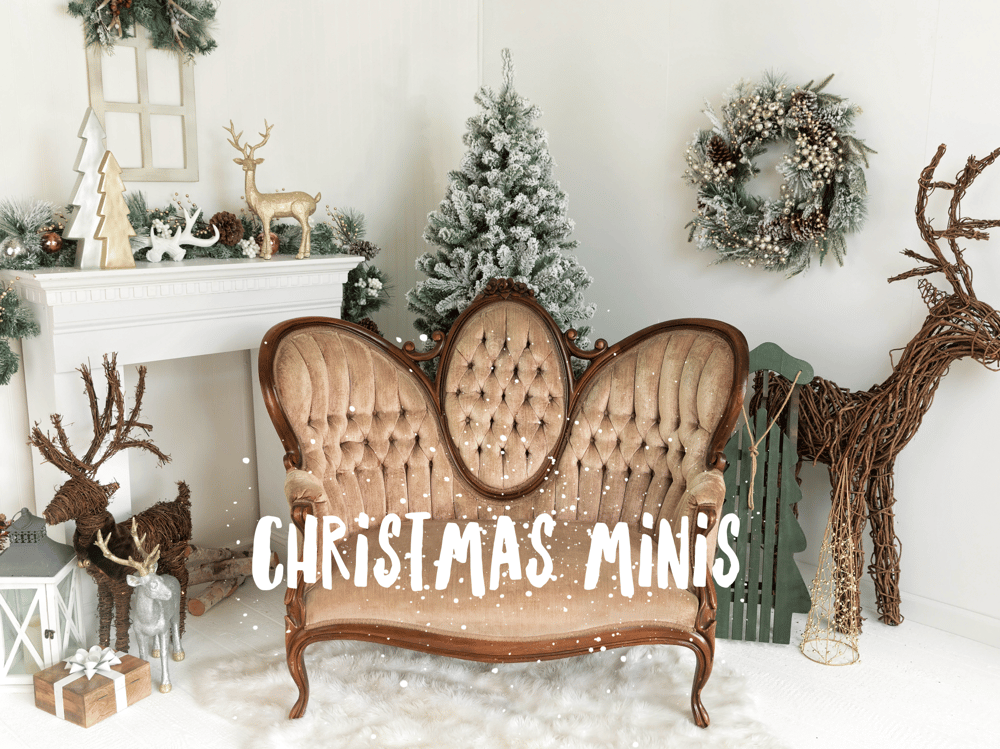 Image of Christmas Minis