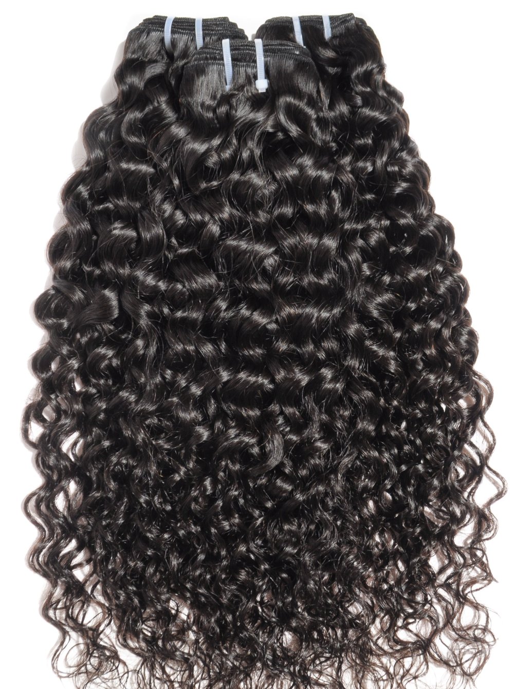 Image of Burmese Curly