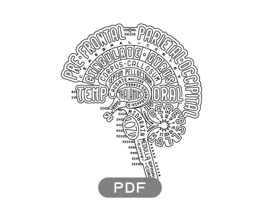 Image of Brain Typogram - PDF