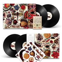 Image 1 of Coccodrilli - Double Lp ltd. edition with illustration stickers, card and digital download code