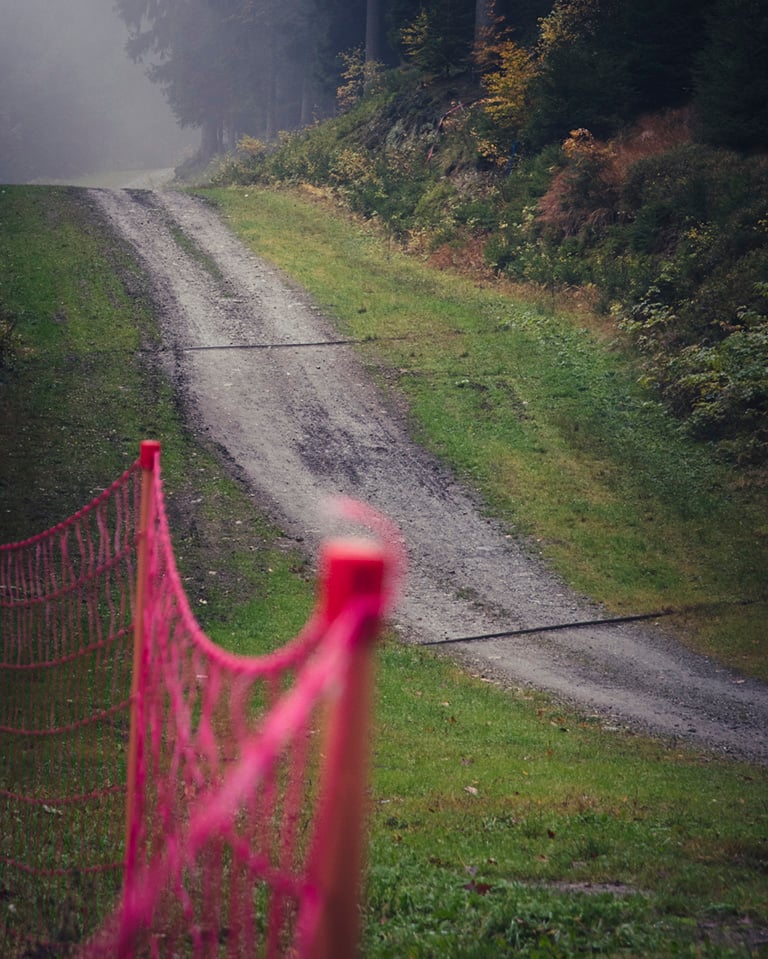 Pink fence