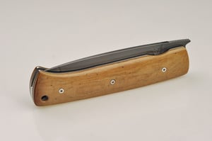 Image of KWARK linerlock