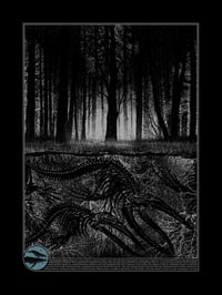 "Megaptera Novaeangliae"