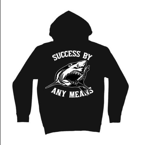 Image of Success by Any Means