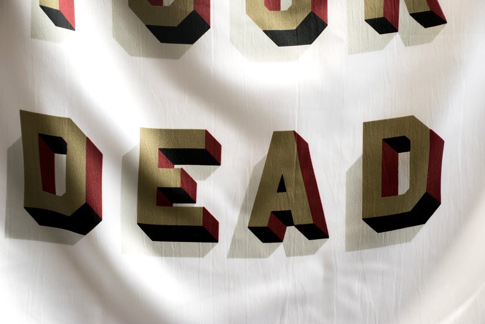 Image of Bury Your Dead Flag