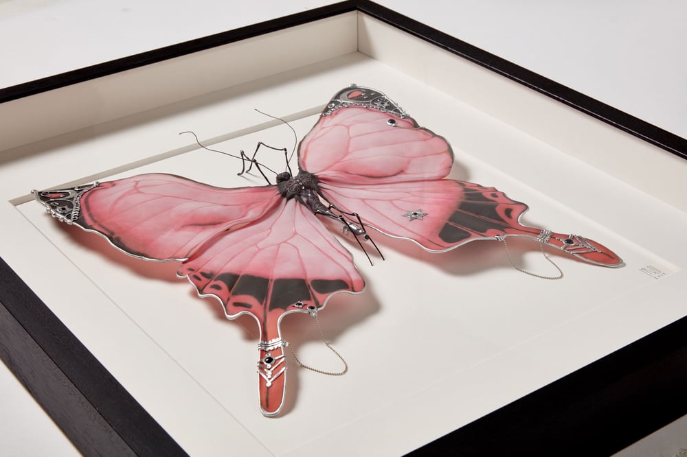 Image of Shakti Butterfly