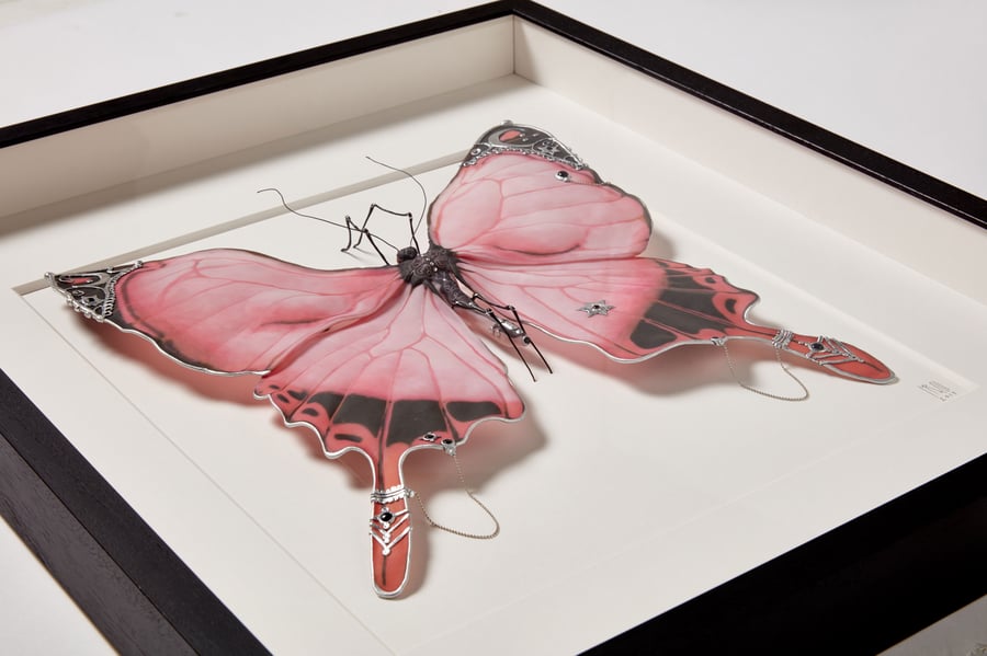 Image of Shakti Butterfly