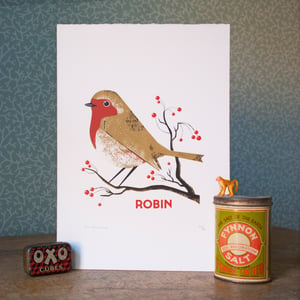 Image of Robin