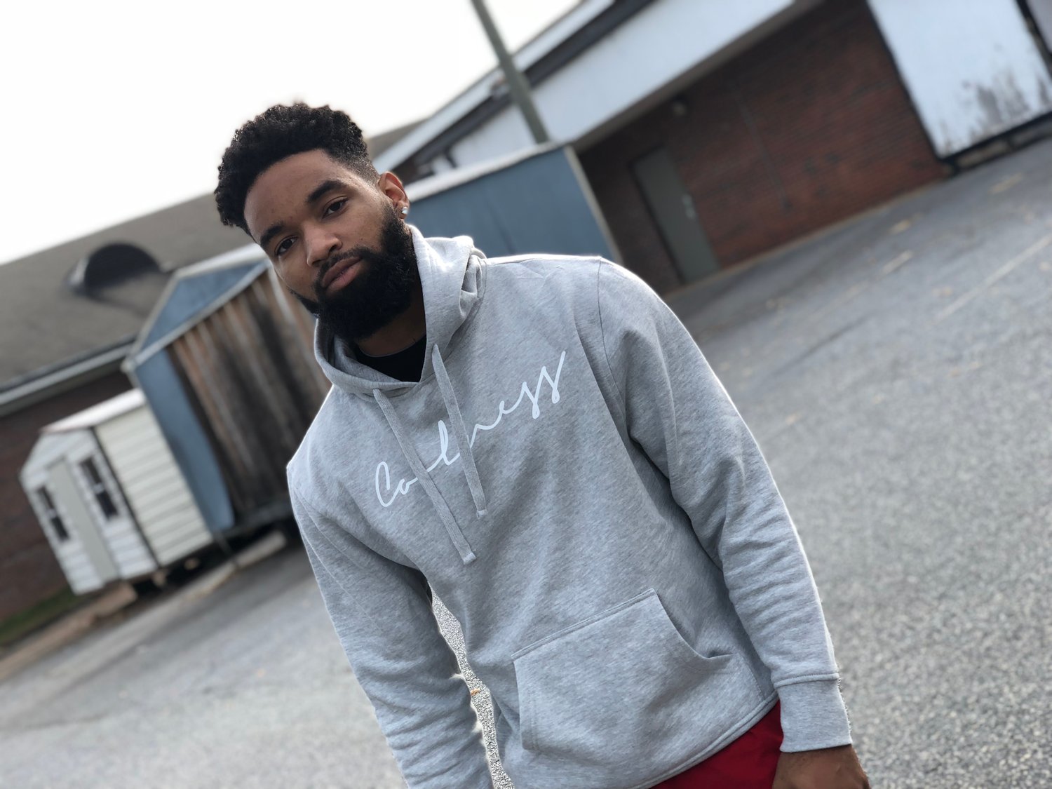 Image of Official Coolness Hoodie - Grey 