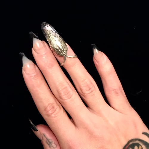 Image of SATAN’S CLAW