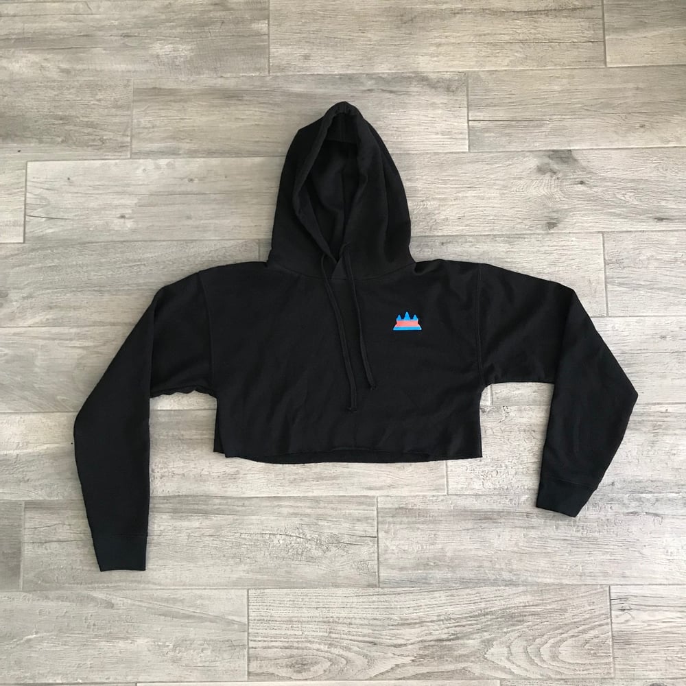 Image of FlagShip Women Cropped Hoodie
