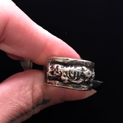 Image of EXCARNATION