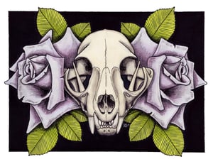 Image of Cat Skull Print