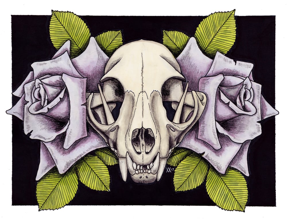 Image of Cat Skull Print