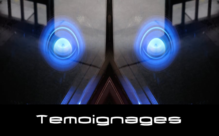 Image of Témoignages (A5)