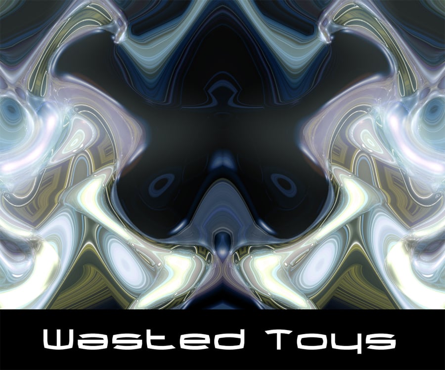 Image of Wasted Toys (A5)