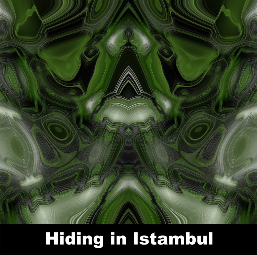 Image of Hidding in Istambul (A4)
