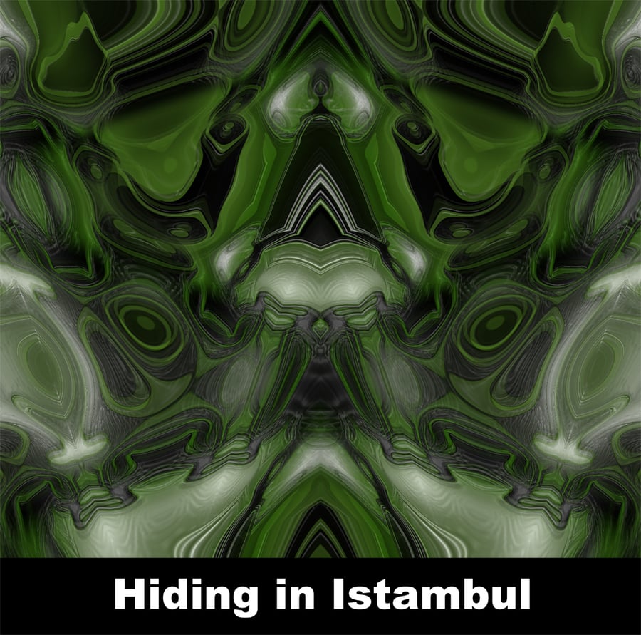 Image of Hidding in Istambul (A4)