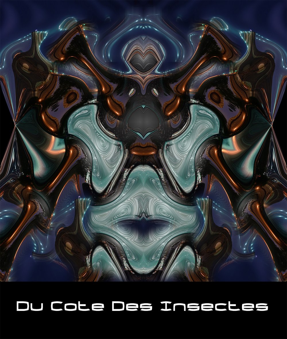 Image of Du Côté des Insectes (A4)