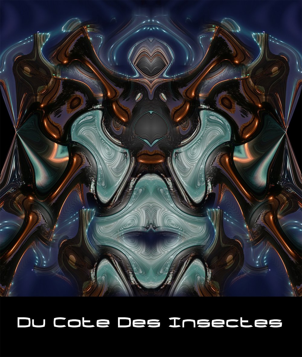 Image of Du Côté des Insectes