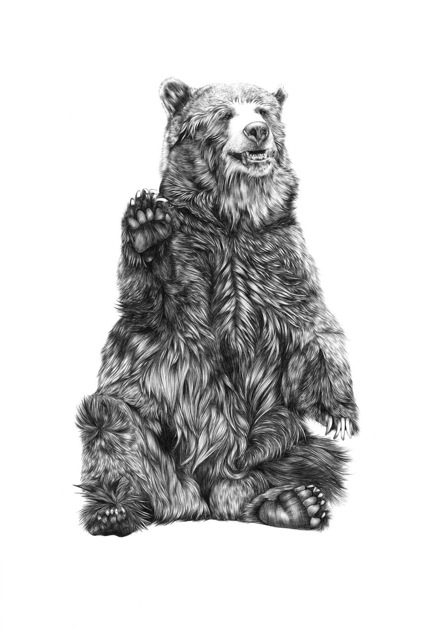 Image of Bear - Limited Edition Print