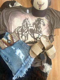 horses consolation  Brown