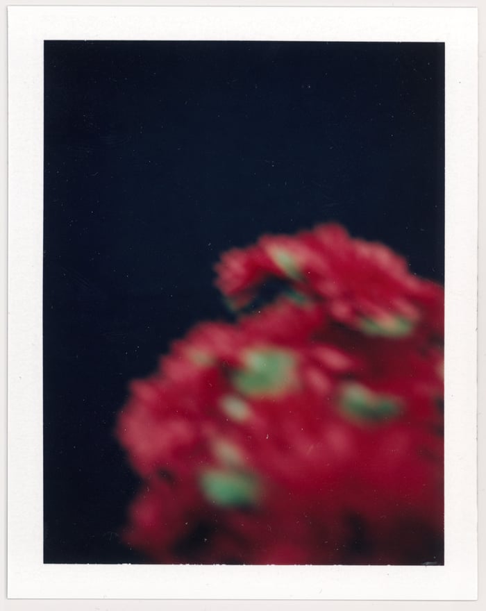 Image of Red & Black