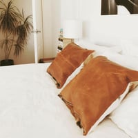 Image 3 of Springbok and Leather Cushion