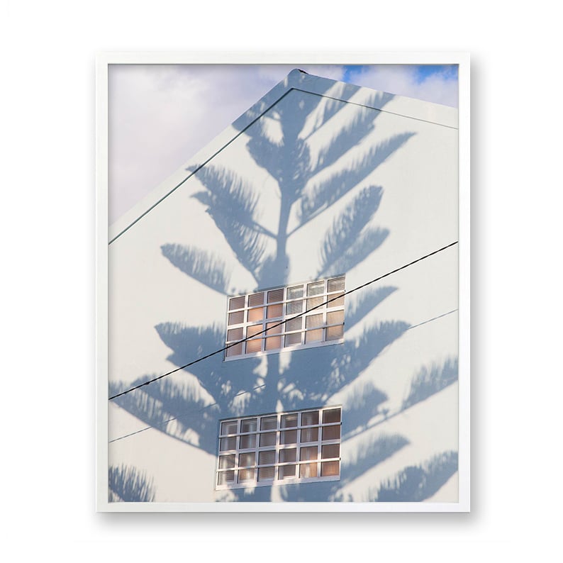 Image of Tree shadow, Spain