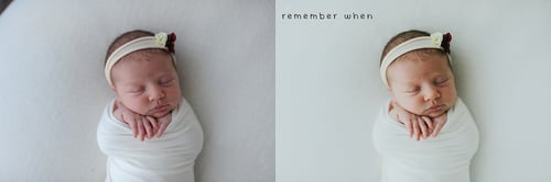 Image of SBP Daydreamers Collection